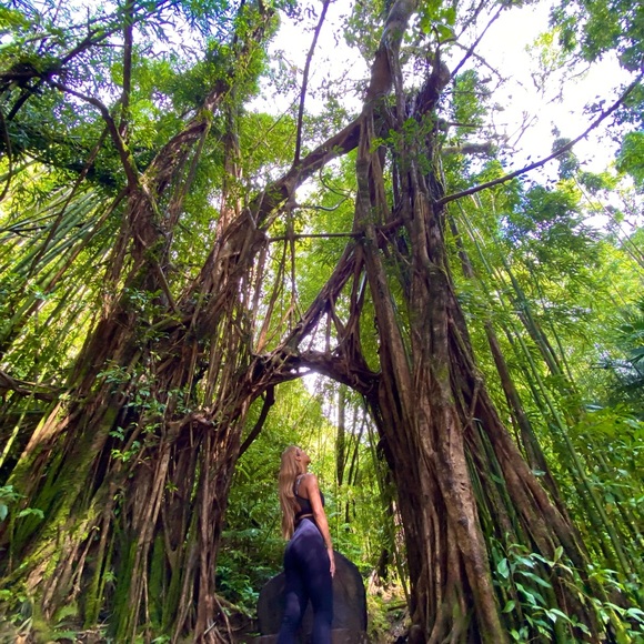 Meet your Posher, Edie - Picture 8 of 9